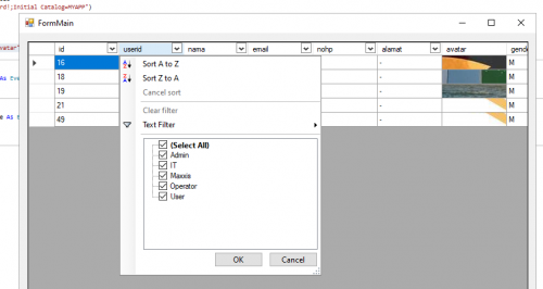 Membuat Filter Dan Sort Kolom Pada DataGridView Seperti Di Excel - VB.NET